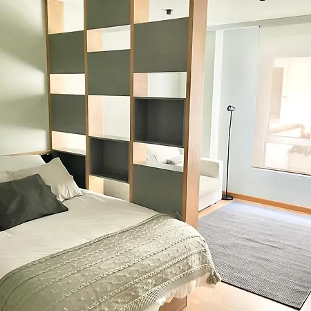 Estudio Regenta Con Parking Privado *